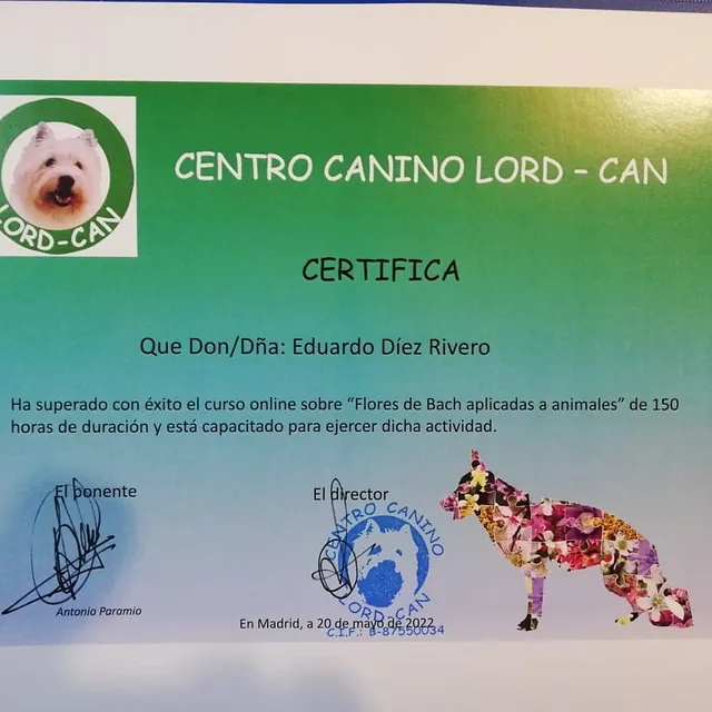 Centro Canino Lobocan diploma