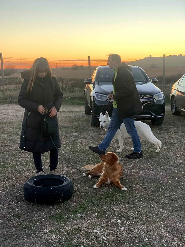 Centro Canino Lobocan perros